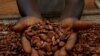 Cocoa Prices Spike Amid Climate Threats