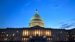 미국 의회 / 워싱턴 D.C. 소재 미국 국회의사당
출처: Rosa Mohtasham