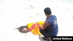 Staf Badan Migrasi PBB memeriksa jenazah migran di sebuah pantai di Yaman. (Foto: dok).