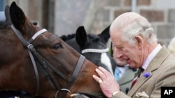 El rey Carlos III da una zanahoria a un caballo durante un evento en Ballater, Reino Unido, el martes 11 de octubre de 2022. 