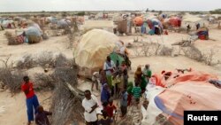 Para pengungsi Somalia di kamp pengungsi di Galkayo, barat laut Mogadishu. (Foto: Dok)