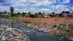 Journée mondiale de l'environnement