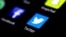 FILE - The Twitter application is seen on a phone screen. 