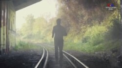 Կորոնավիրուսից մահանում է վարակվածների մոտավորապես 1.2 տոկոսն աշխարհում