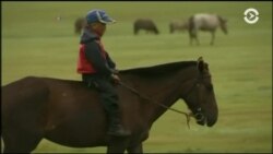 Настоящее Время. Америка – 26 мая 2017