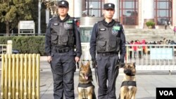 两会会场北京人大会堂外执勤的特警和警犬。（2016年3月5日 美国之音金子莹拍摄）