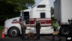 ARCHIVO - Agentes de inmigración mexicanos y miembros de la Guardia Nacional inspeccionan un camión con remolque después de detener a una docena de migrantes, la mayoría de ellos de Centroamérica, que viajaban en el interior, en Veracruz, México, el 23 de julio de 2023.