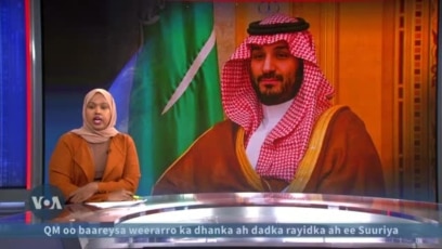Sacuudi Carabiya oo 2024 dilay 300 qof