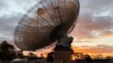 რადიო ტელესკოპი ავსტრალიის ერთ-ერთ ობსერვატორიაში
