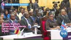 Eastern, Southern African leaders reiterate call for ceasefire in DRC