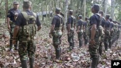 El grupo terrorista peruano Sendero Luminoso financia sus actividades con el narcotráfico.