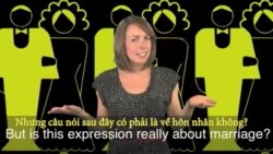 Thành ngữ tiếng Anh thông dụng: Not Married to It (VOA)