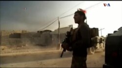 اخبار شامگاهی