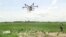 La start-up nigériane "Beat Drone" tente de révolutionner l’agriculture