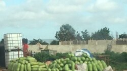 Moussow Ngana Kene