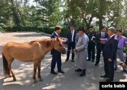 Mongolian Defense Minister Nyamaa Enkhbold, right, presents a horse as a gift to U.S. Defense Secretary Mark Esper at the Defense Ministry in Ulaanbaatar, Mongolia, Aug. 8, 2019. (C. Babb/VOA)