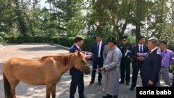 Mongolian Defense Minister Nyamaa Enkhbold, right, presents a horse as a gift to U.S. Defense Secretary Mark Esper at the Defense Ministry in Ulaanbaatar, Mongolia, Aug. 8, 2019. (C. Babb/VOA) 