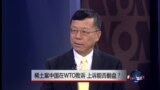 中国媒体看世界:稀土案中国在WTO败诉 上诉能否翻盘？