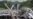 International Investigators Begin Work at Crash Site in Ukraine
