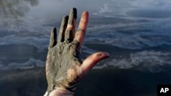 FILE - Amy Adams, North Carolina campaign coordinator with Appalachian Voices, shows her hand covered with wet coal ash from the Dan River swirling in the background as state and federal environmental officials continued their investigations of a spill of coal ash into the river in Danville, Va., Feb. 5, 2014.