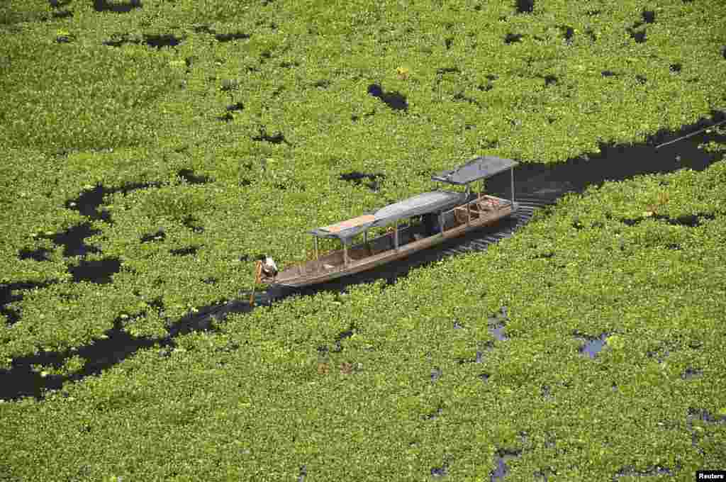 Seorang nelayan berjongkok di atas perahunya, di sebuah waduk yang penuh ditutupi oleh enceng gondok di Jinping, provinsi Guizhou, China.