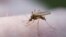 La malaria es ocasionada por un parásito que es transmitido por el mosquito Anófeles .