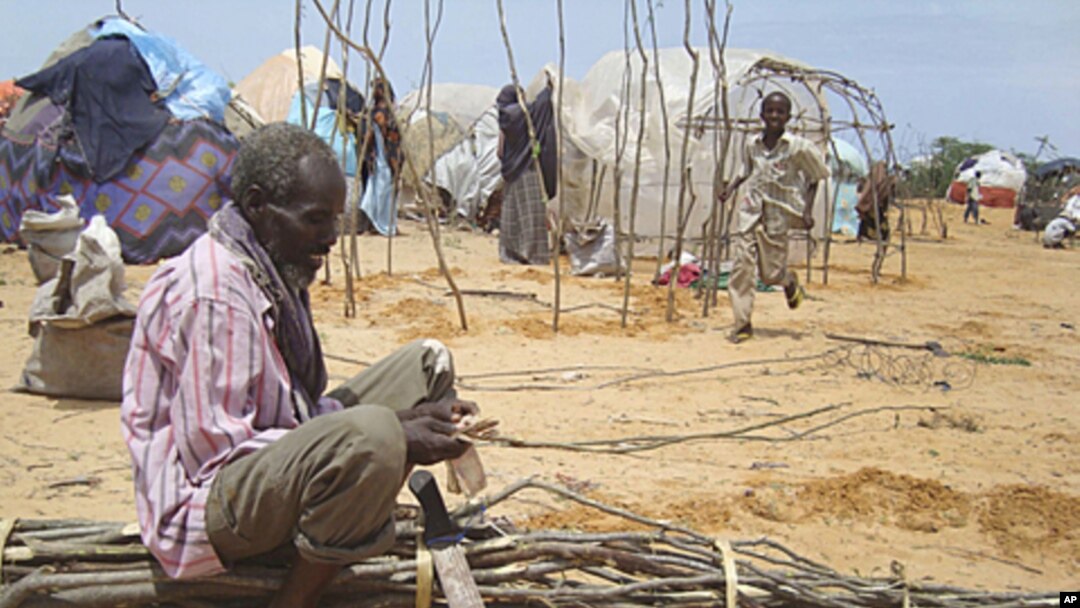 A Somali man from southern Somalia cuts tree branches to construct a makeshift shelter in refugee camp in Mogadishu, Somalia, August 11, 2011.