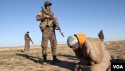 সিরিয়ান ডেমোক্র্যাট ফোর্সের একজন সদস্য আইসিসের সদস্যকে আটক করেছেন। 