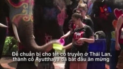 Lễ hội té nước Songkran đón mừng năm mới