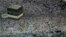 Hajj ဘုရားဖူးပွဲတော်