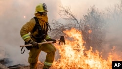 A firefighter from San Matteo helps fight the Kincade Fire in Sonoma County, Calif., on Sunday, Oct. 27, 2019.