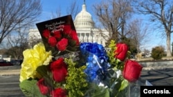 The Colombian Embassy in Washington sent flowers to the U.S. Congress on Valentine's Day to highlight friendship and the importance of the floriculture sector in the bilateral trade relationship. (Photo courtesy of the Colombian Embassy in Washington)