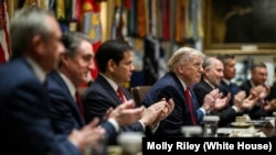 特朗普总统在白宫举行内阁会议。(2026年1月29日)