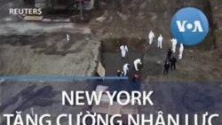 New York tăng cường nhân lực đào huyệt tập thể