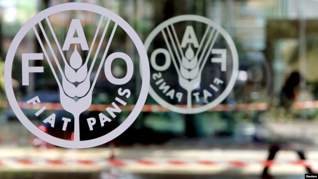 이탈리아 로마의 유엔 세계식량기구(FAO) 본부 입구에 로고가 붙어있다.