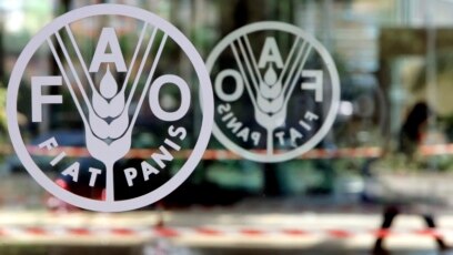 이탈리아 로마의 유엔 세계식량기구(FAO) 본부.