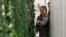 FILE - In this Jan. 18, 2018 photo, production manager Emy Kelty, left, and senior grower Molly Kreykes scan and monitor plants growing on towers in the grow room at the Plenty, Inc. office in South San Francisco, Calif. 