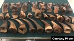 FILE: Representative image of seized rhino horn, taken 4.6.2019