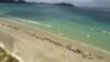FILE - Pilot whales lie beached at Mason Bay, Rakiura, on Stewart Island, New Zealand, Nov. 25, 2018.