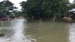 Բանգլադեշի կեսից ավելին ջրի տակ է՝ հորդառատ անձրևների հետևանքով