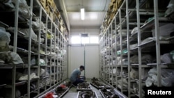 FILE - A forensic anthropologist of the International Commission on Missing Persons (ICMP) works to identify the remains of a victim of the Srebrenica massacre, at the ICMP center near Tuzla, Bosnia and Herzegovina, July 6, 2016.
