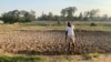 A man weeds with a hoe at his farm just outside Harare on Feb. 12, 2025. Using hand tools has been the norm since most experienced commercial farmers were driven off their land by the government.