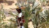 FILE: An internally displaced Sudanese woman carries her child and firewood as she walks alongside her other children within the Kalma camp for internally displaced persons (IDPs) in Darfur, Sudan. Taken April 25, 2019. 