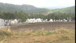 У Сирії ООН просять втрутитись