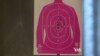 Charleston Shooting Rekindles Gun Control Debate – With Racial Overtones