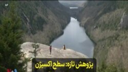 پژوهش تازه: سطح اکسیژن در تالاب‌های اروپا و آمریکا به شدت کاهش یافته