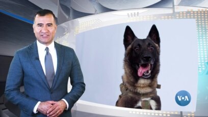 Xalqaro hayot - 29-oktabr, 2019-yil
