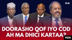 Doorashada