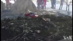Ayiti: 14 Out Raple Seremoni Bwa Kayiman, yon Soulèvman Kont Esklavajis