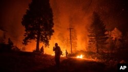 Firefighters monitor a backfire while battling the Delta Fire in the Shasta-Trinity National Forest, Calif., on Thursday, Sept. 6, 2018.